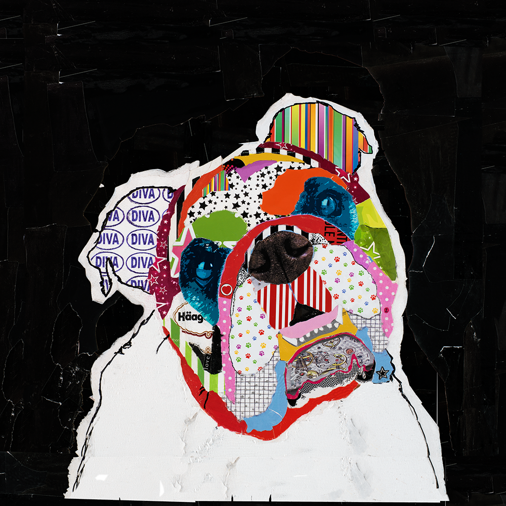 #010907 <br> English Bulldog <br> Dog Art Canvas Print