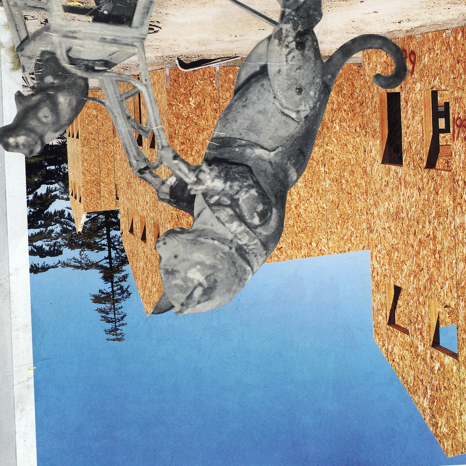 Title: Your Dream Is To... <br> Mixed Media Canvas Print